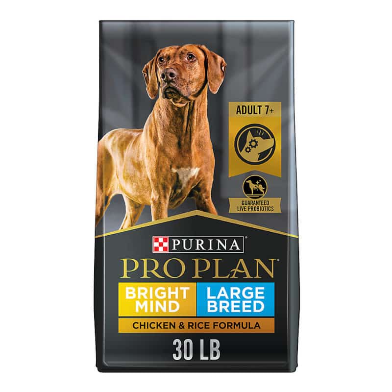 What are WSAVA Guidelines, and Why do they Matter? Hello Danes