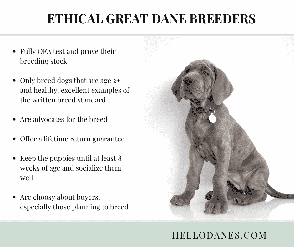 is breeding bad for dogs