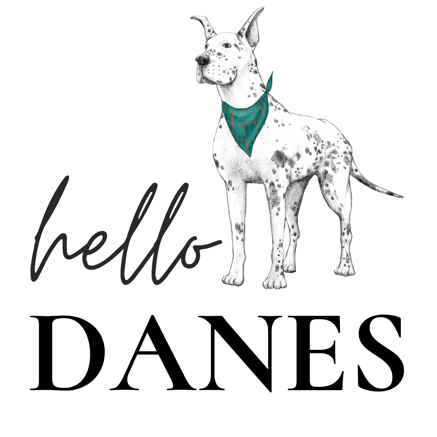 How To Fix Knuckling in Great Dane Puppies Hello Danes