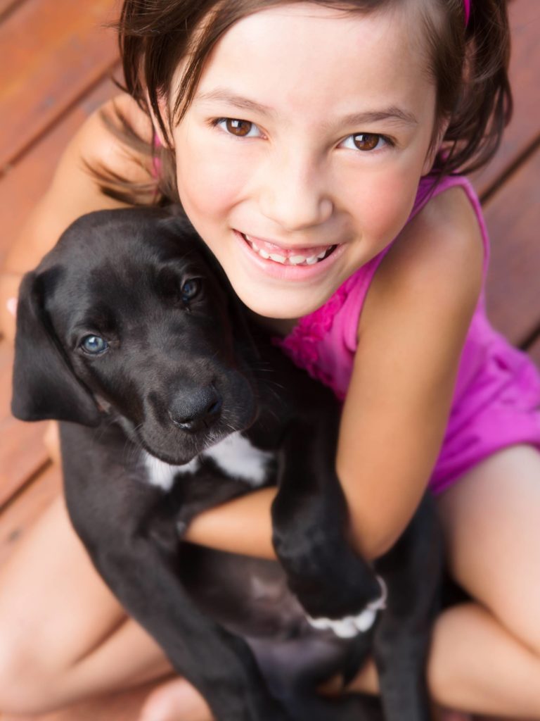 Respect Training Tips: How to Train Your Puppy Great Dane 7 respect training