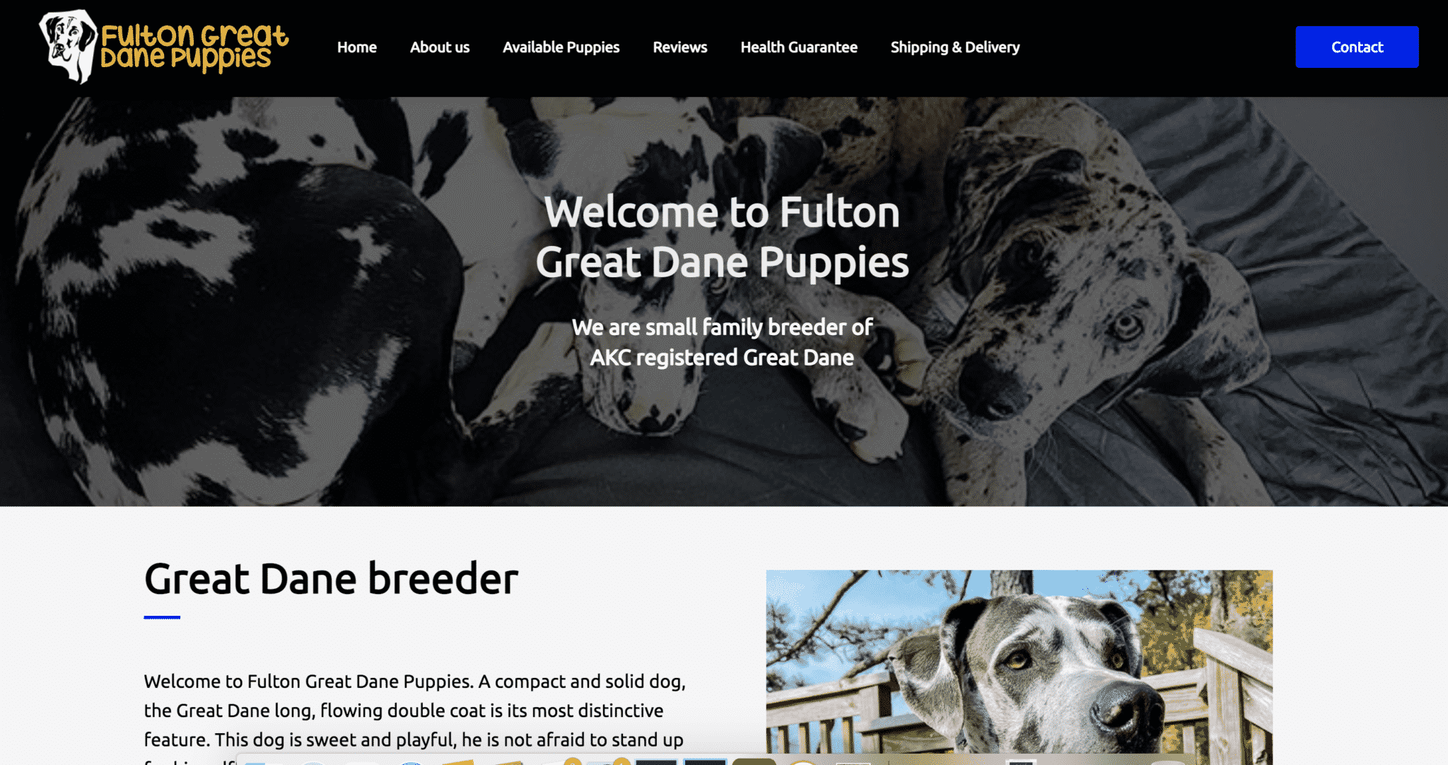 Scam Great Dane Breeders 5 Screen Shot 2021 05 11 at 1.41.22 PM