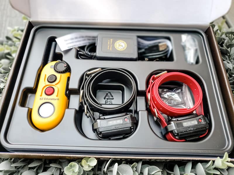 What is the Difference Between an E-Collar and a Shock Collar? - Hello ...