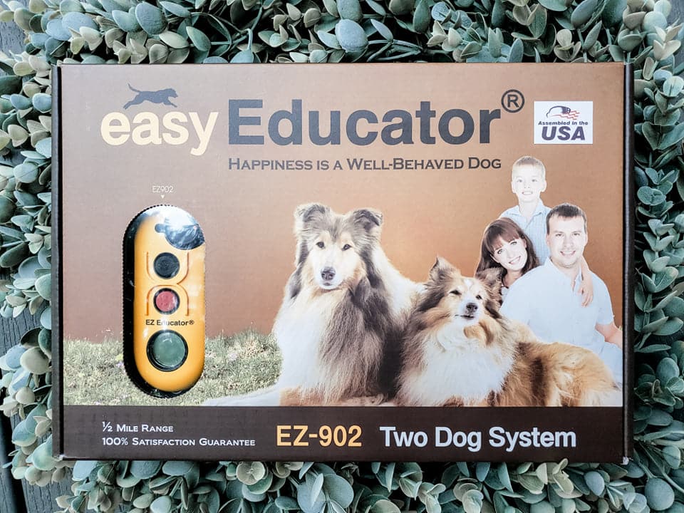 How to Introduce an E-Collar to a Great Dane - Tips & Tricks 7 How to Introduce an E-Collar