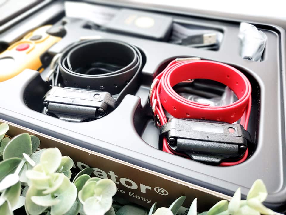 EZ Educator ET-900 E-Collar Review for Great Dane Owners 4 217680192 184856893623872 170816817776630101 n