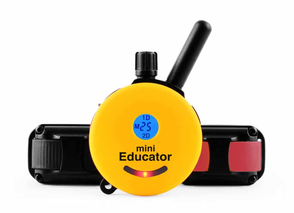EZ Educator ET-900 E-Collar Review for Great Dane Owners 13 ET 302 TxRx