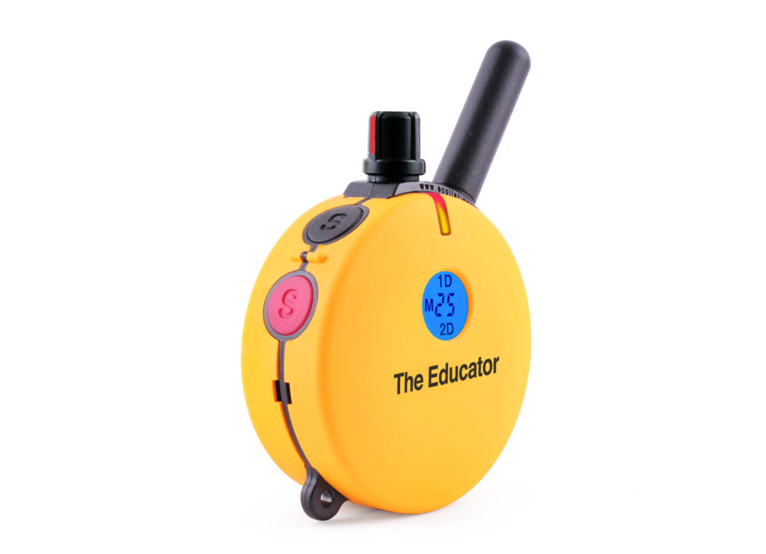 ECollar Myths Great Dane Training Hello Danes