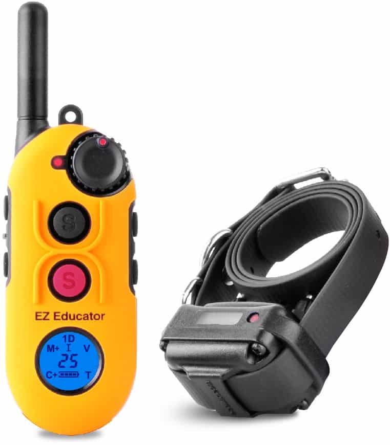 What I Put On My Dog's Collar... Safety, Identification, Training, and Location Tracking 4 EZ 900 Easy Educator copy