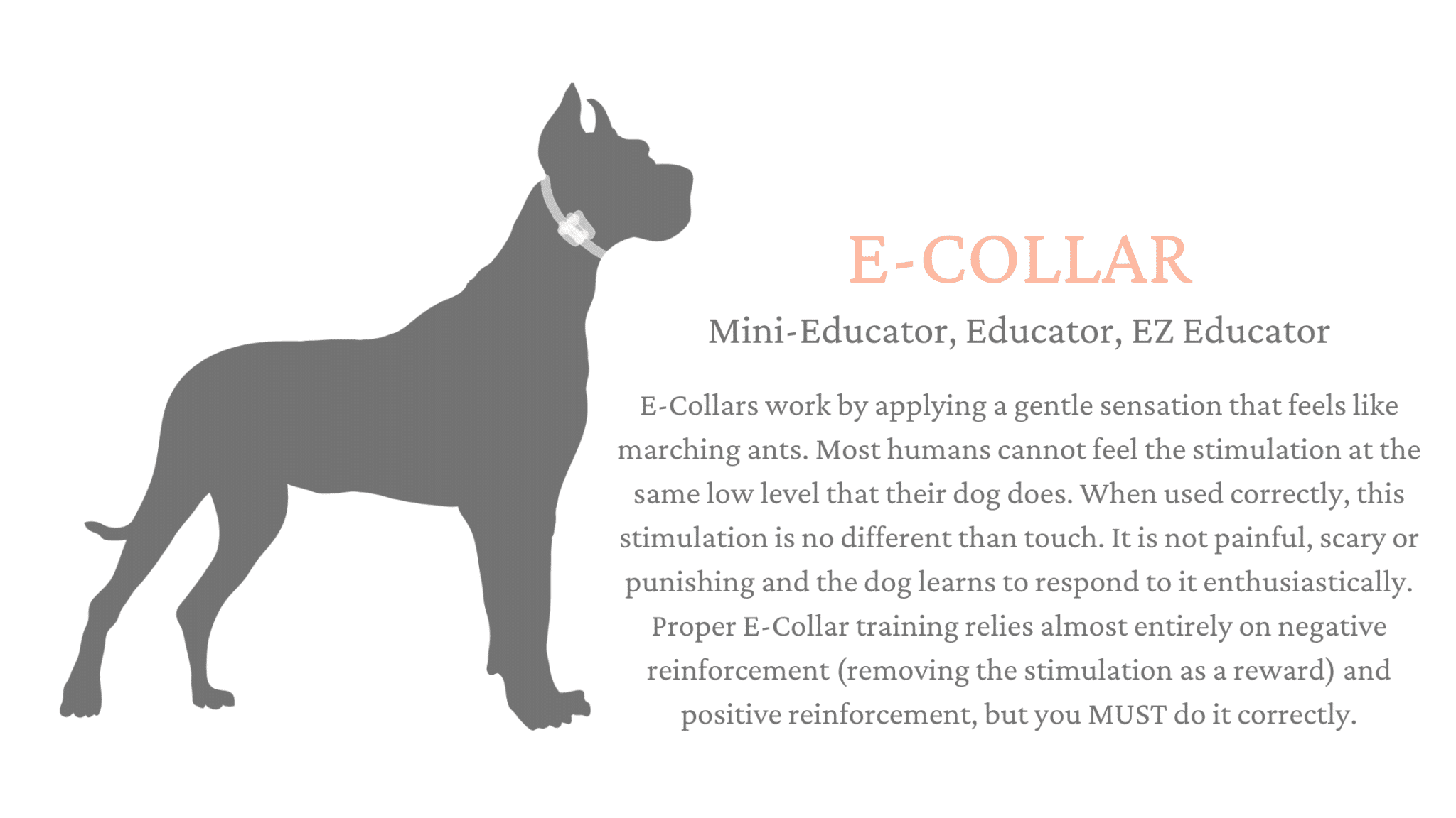 Shock Collar for Great Dane Training 3 5