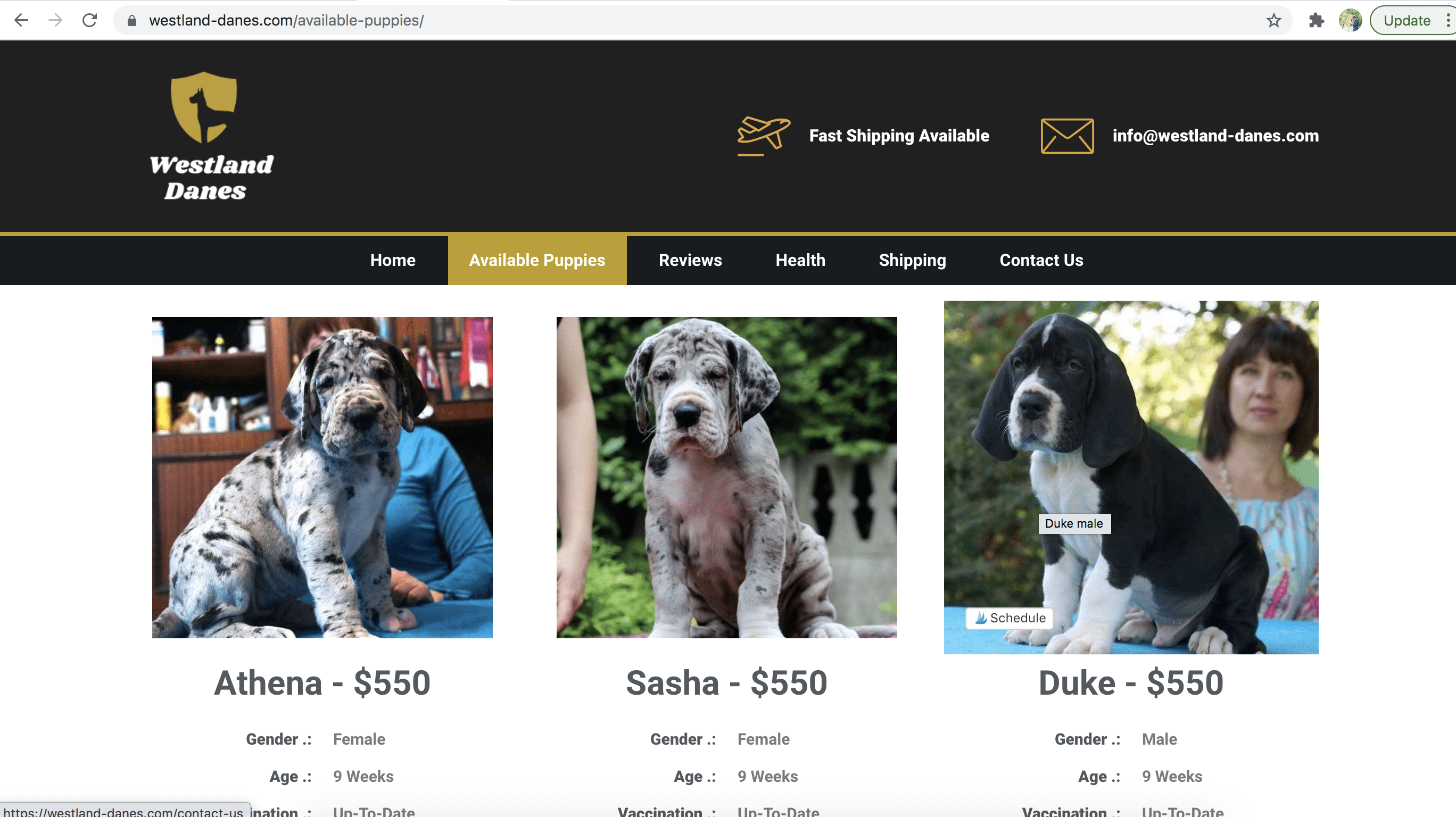 Scam Great Dane Breeders 8 Screen Shot 2021 10 01 at 5.27.05 PM