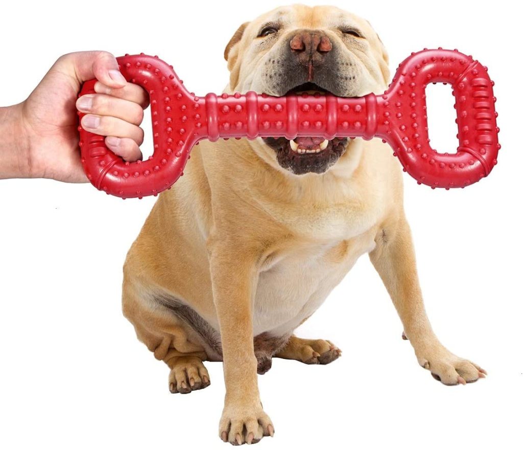 How Long Can a Dog Stay Home Alone? Tips for Creating Independence in Your Dog 7 Kong Durable Dog Toy