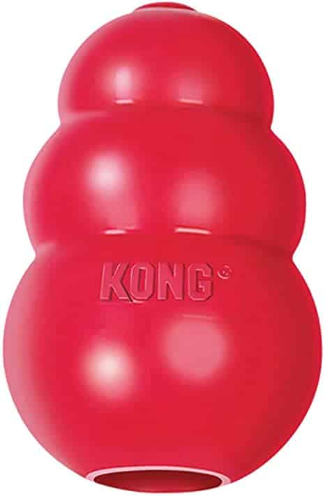 Kong Durable Dog Toy