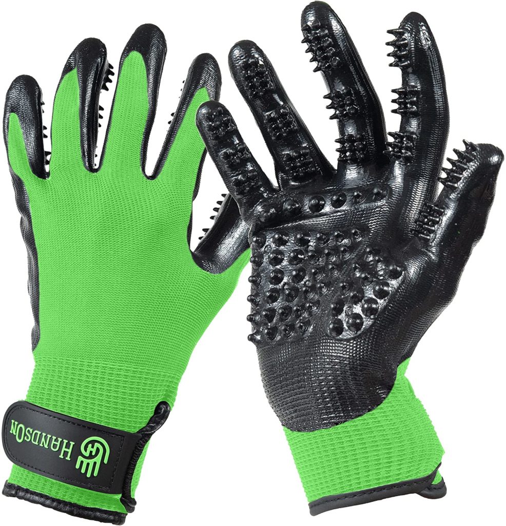 Do Great Danes Shed? 18 Dog Glove for Shedding