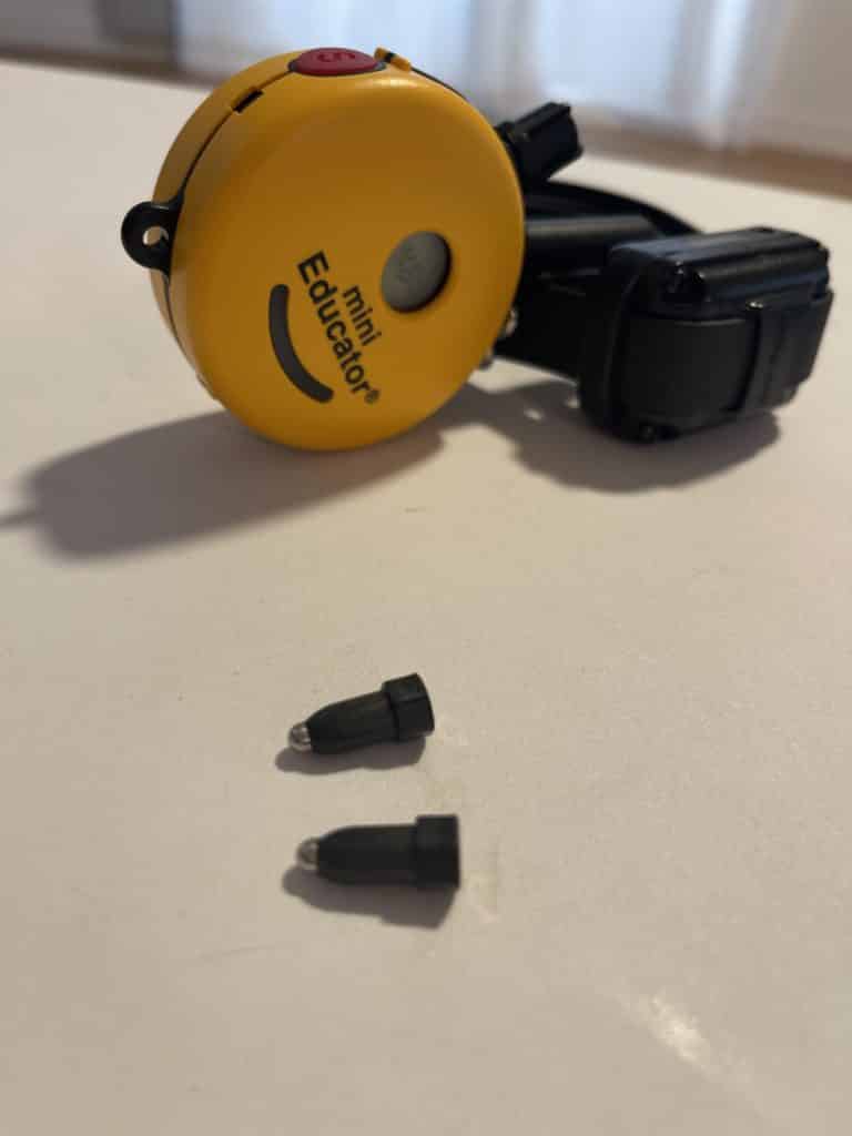 Great Dane Recall with an E Collar: The Ultimate Guide 12 Recall with an e collar