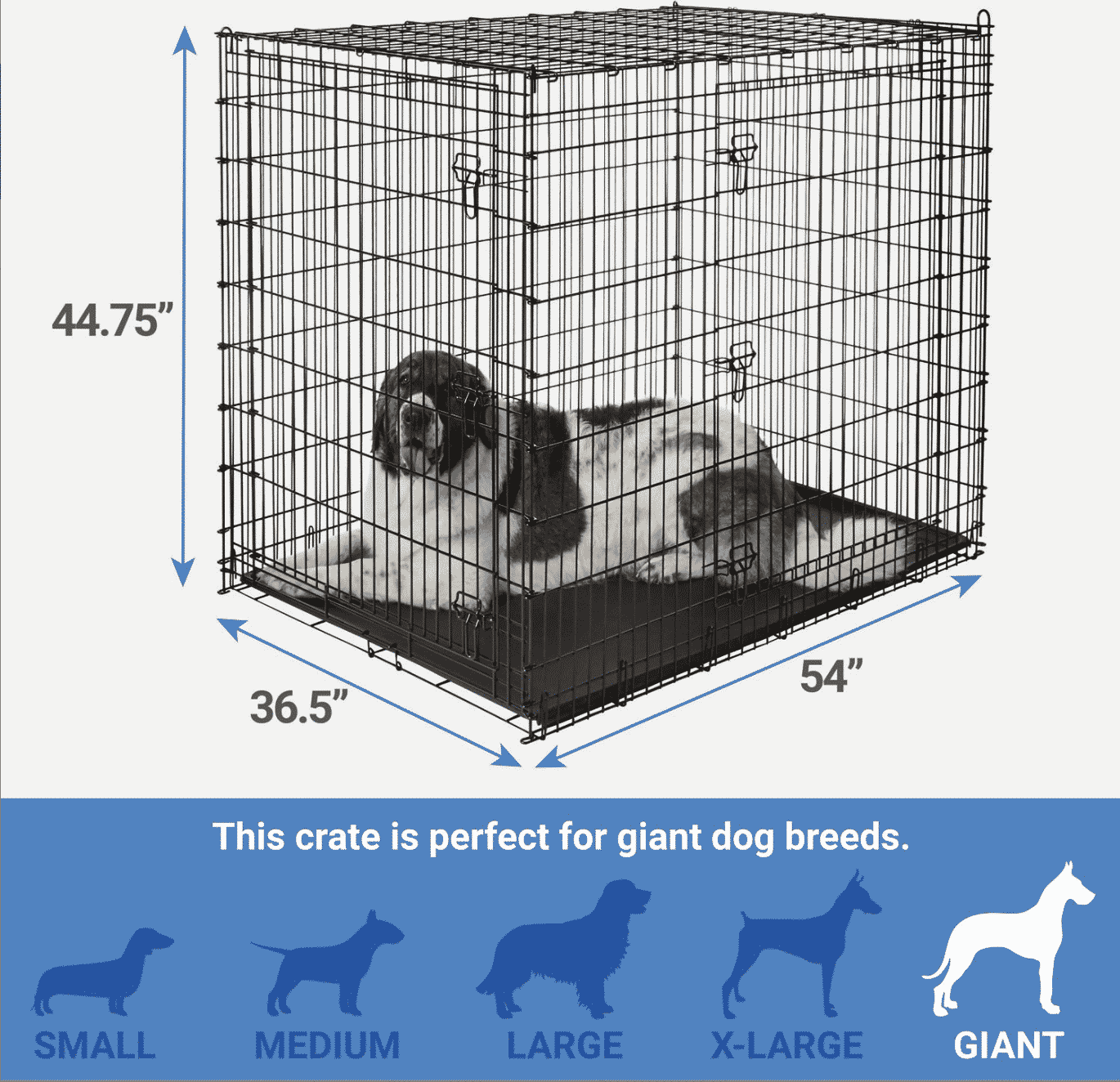 12 Fool Proof and Fast Great Dane Potty Training Tips 8 Best crates for Great Danes