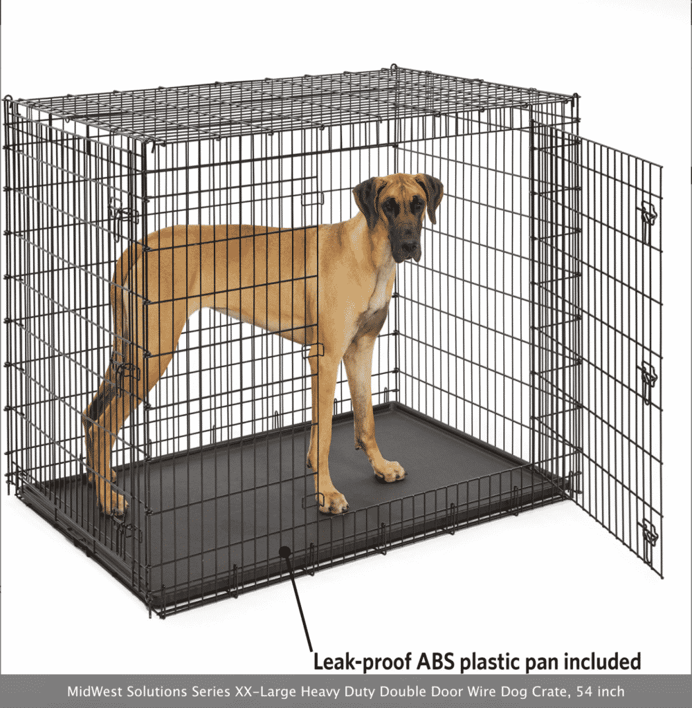 The Hardest Parts About Potty Training a Great Dane: Tips and Tricks to Make it Easier 23 Screen Shot 2022 03 07 at 10.51.41 AM