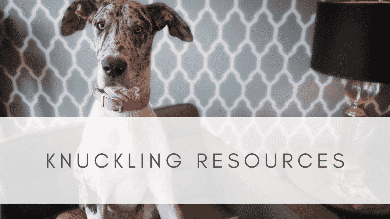 KNUCKLING IN GREAT DANES RESOURCE PAGE Hello Danes