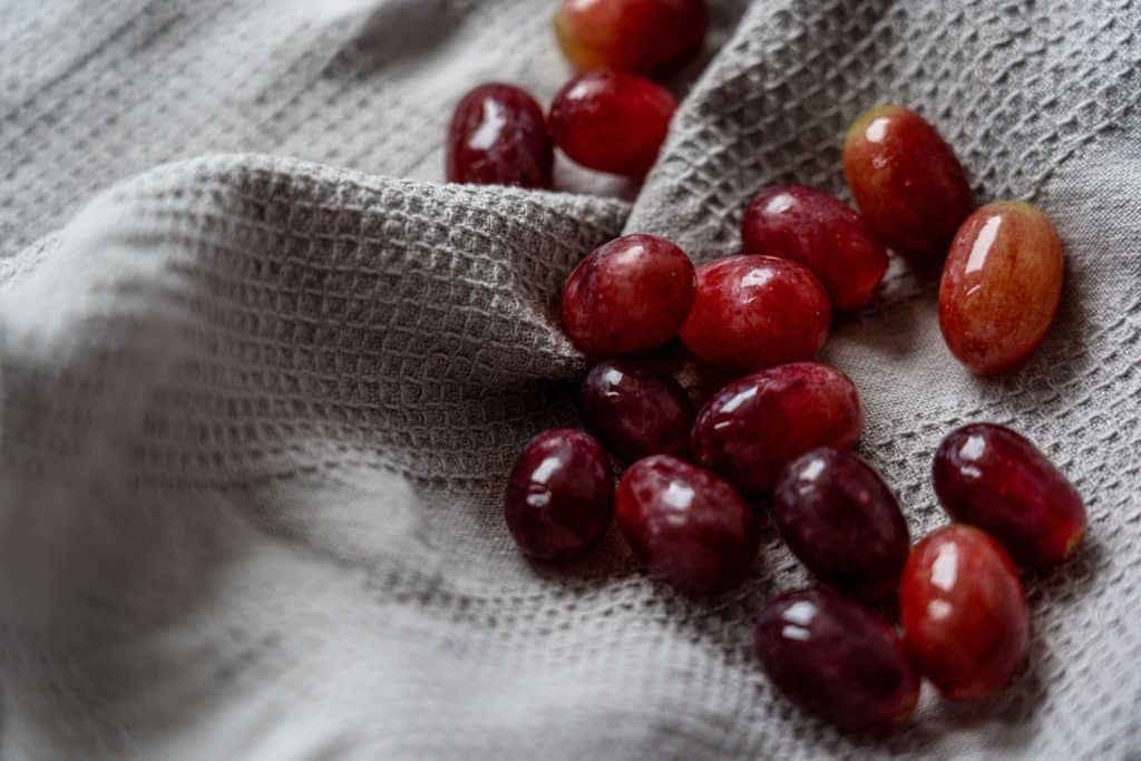 The Shocking Truth: How Many Grapes Can a Dog Eat? Is Just 1 Grape Toxic? 12 pexels castorly stock 3722580 3 1