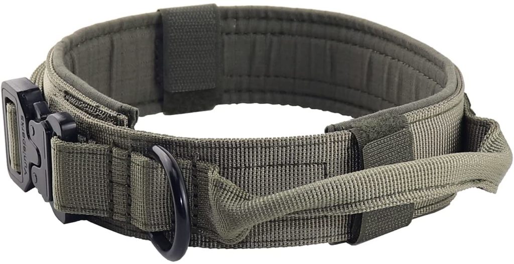 The Best Collars for Great Danes 10 611kKFMDIiL. AC SL1500