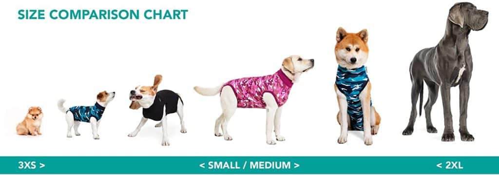 Stomach Tacking Pros and Cons for Great Danes 8 61SMfd4D9BL. AC SL1500