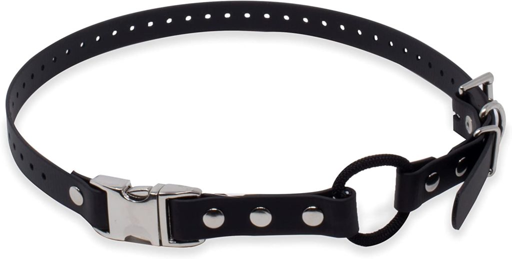 The Best Collars for Great Danes 33 61X4h5GrJjL. AC SL1500