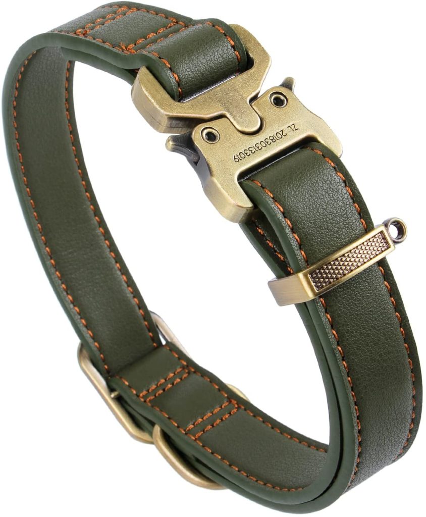 The Best Collars for Great Danes 37 71XXGZhGXiL. AC SL1500