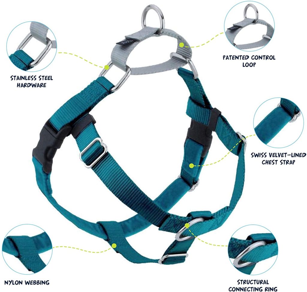 The Best Collars for Great Danes 18 71o2l0pCvL. AC SL1500
