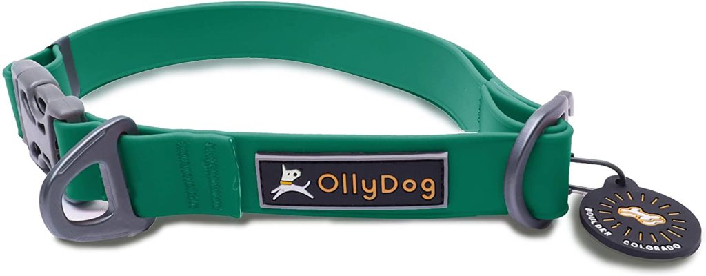 The Best Collars for Great Danes 38 71rOnxkeMFL. AC SL1500