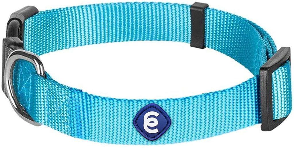 The Best Collars for Great Danes 36 819CtUXMphL. AC SL1500