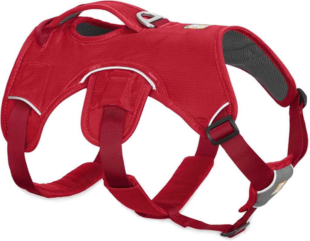 The Best Collars for Great Danes 6 81E62lc4B9L. AC SL1500