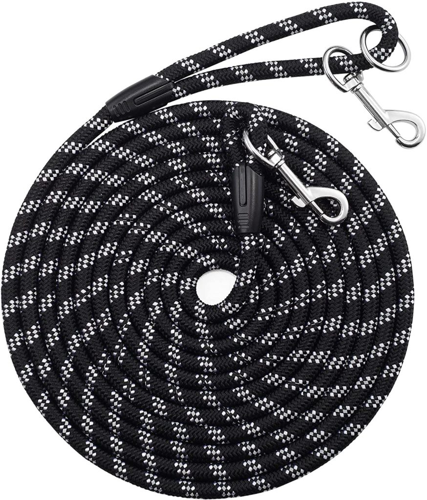 How to Teach a Puppy to Sit 30 81Qwf4n9EPL. AC SL1500