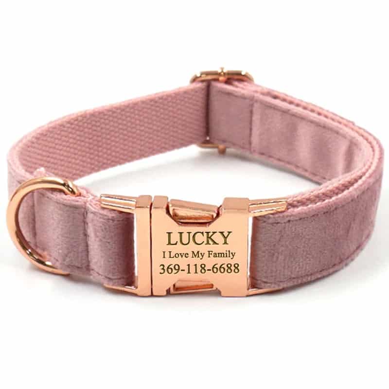 Custom designer dog collars pink