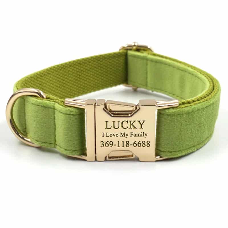 personalized dog collar green