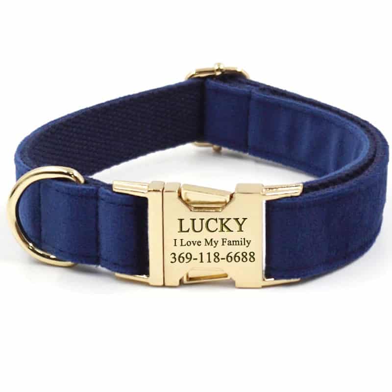 personalized dog collar 8a4dd082 3422 4fd0 ac39