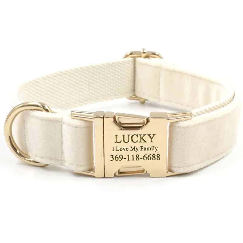 personalized girl dog collars cream