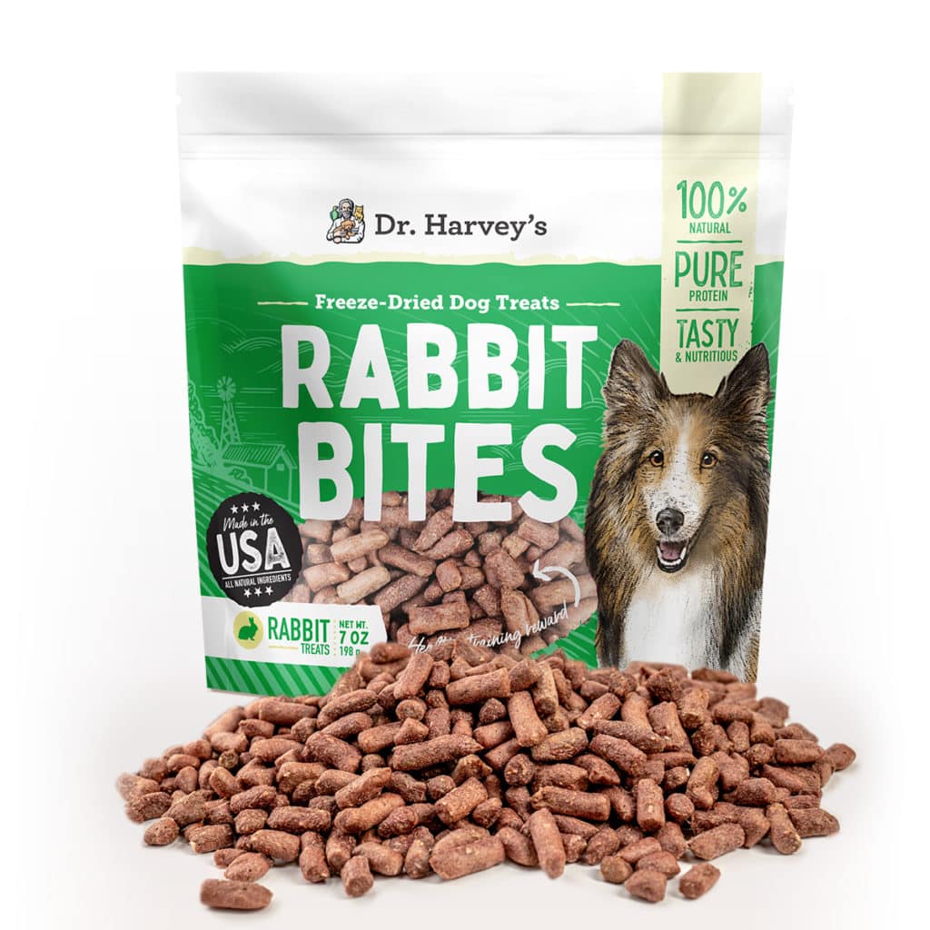 Potty Training Great Dane Puppies Hello Danes