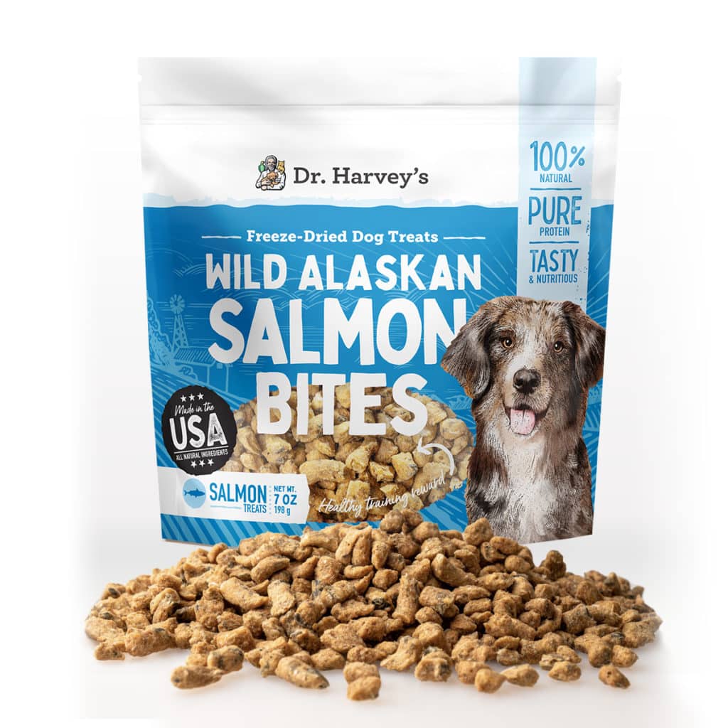 Running with Your Great Dane 10 Great Dane Puppy Treats