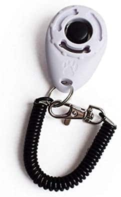 A Story of Balanced Dog Training Success With My 2 Great Danes 14 311dqlBoH8L. AC