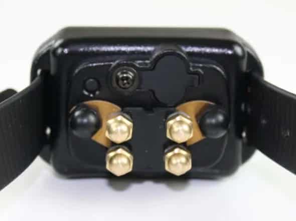 EZ Educator ET-900 E-Collar Review for Great Dane Owners 12 6YXHadQ