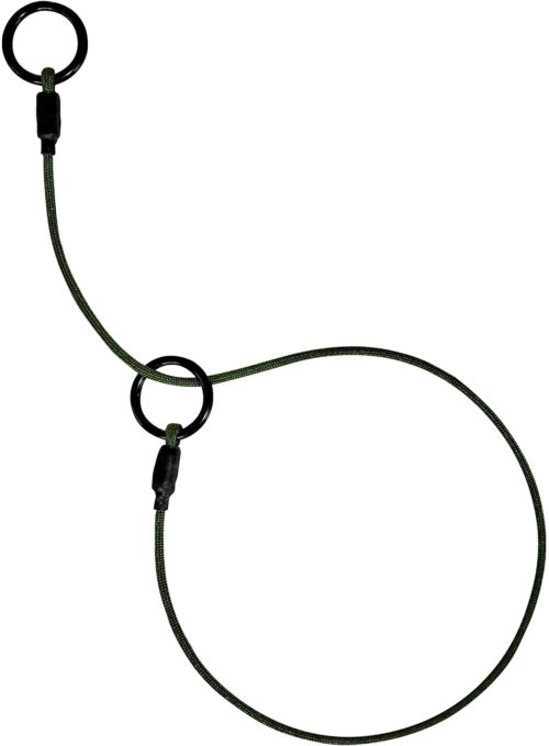 What is the best leash for Great Danes? Hello Danes