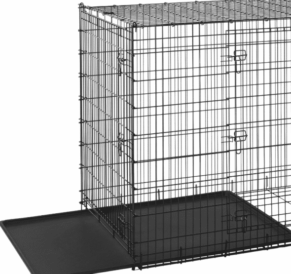 How to Crate Train a Great Dane Puppy HELLO DANES