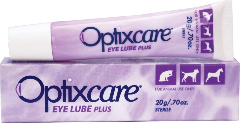 One Big Droopy Eyed Dog: Eyelid Ectropion in a Dog's Eye 12 613AUB4PCXL. AC SL1500