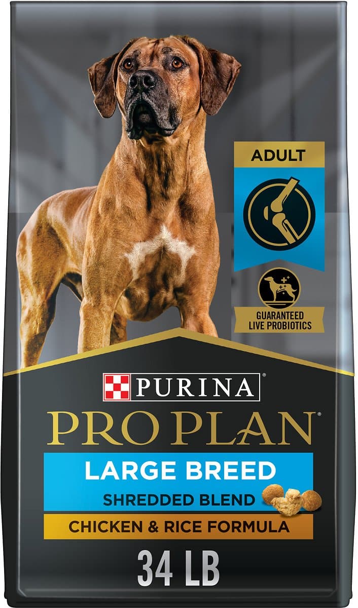 The Best Collars for Great Danes Hello Danes