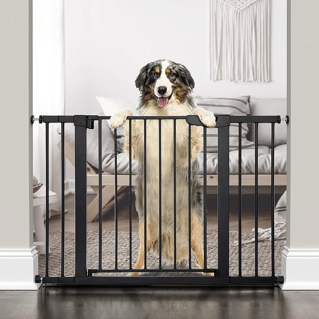 A New Puppy Checklist: 9 Important Purchases When Bringing Home a Puppy 3 712b8uApzL. SL1500