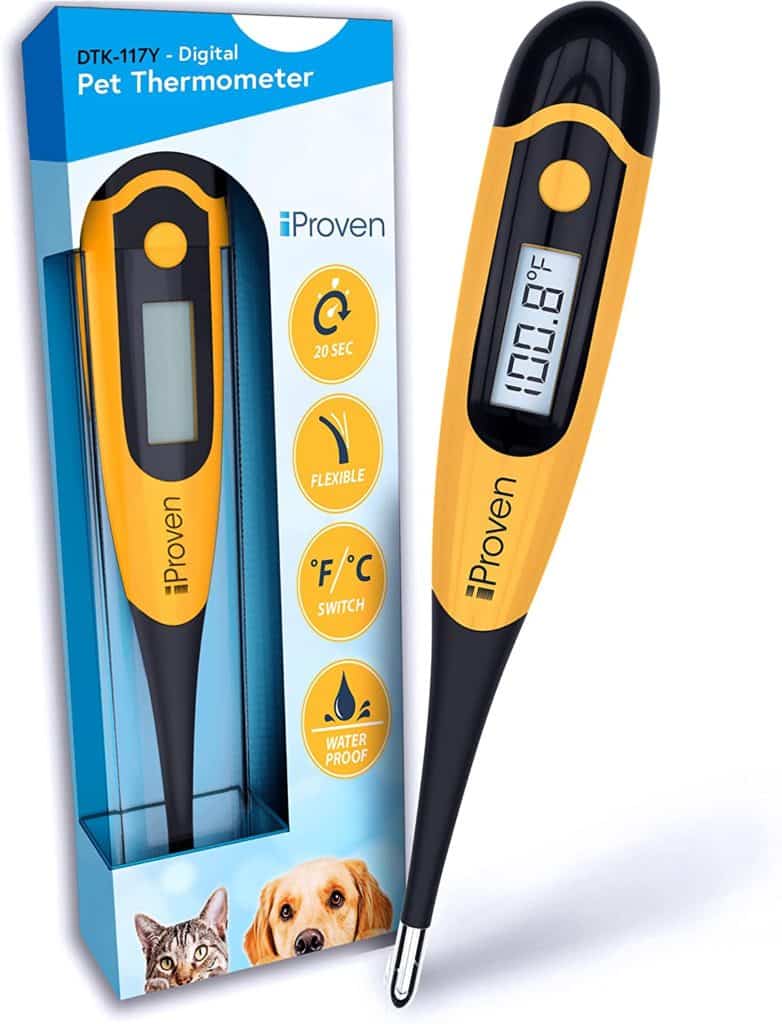 WHAT TEMPERATURE IS IDEAL FOR GREAT DANE? GREAT DANE TEMPERATURE AND WEATHER REQUIREMENTS 14 71EK6bBBQCS. AC SL1500