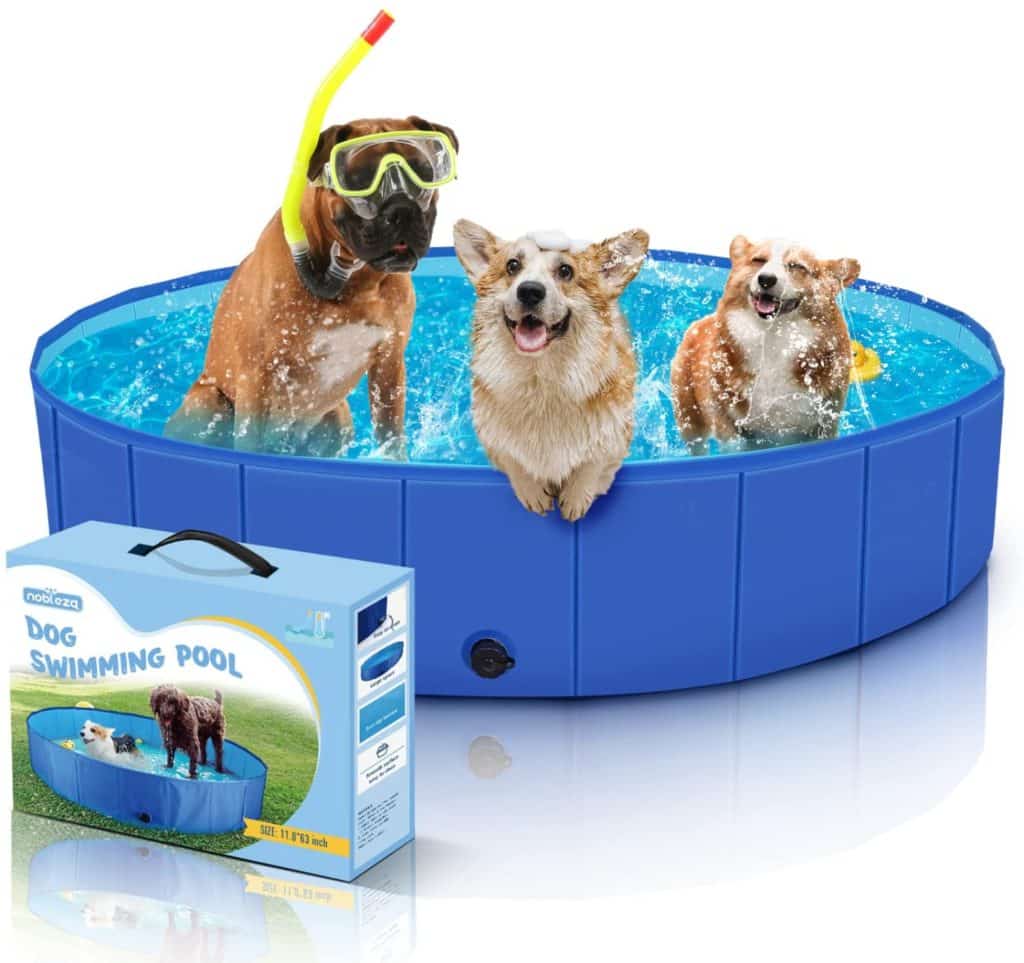 WHAT TEMPERATURE IS IDEAL FOR GREAT DANE? GREAT DANE TEMPERATURE AND WEATHER REQUIREMENTS 13 71ctTEOowfL. AC SL1500