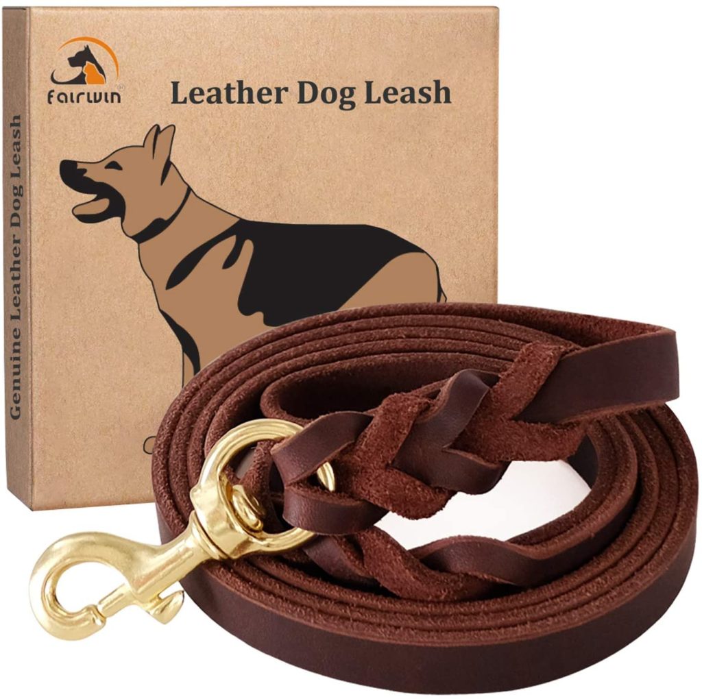 The Best Leashes for Great Danes