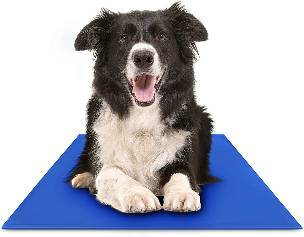 WHAT TEMPERATURE IS IDEAL FOR GREAT DANE? GREAT DANE TEMPERATURE AND WEATHER REQUIREMENTS 12 81Mesb63seL. AC SL1500