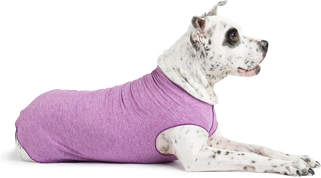 Dog Hiking Gear: What You Need to Take Your Big Dog on Hikes 20 81WYf1DpsL. AC SL1500