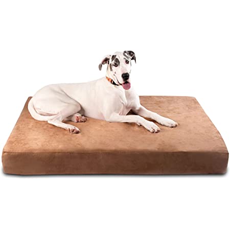 Magnificent Fawn Great Danes: 7 Awesome Things to Buy for a Fawn Great Dane 4 81XR63lDnlL. AC SS450