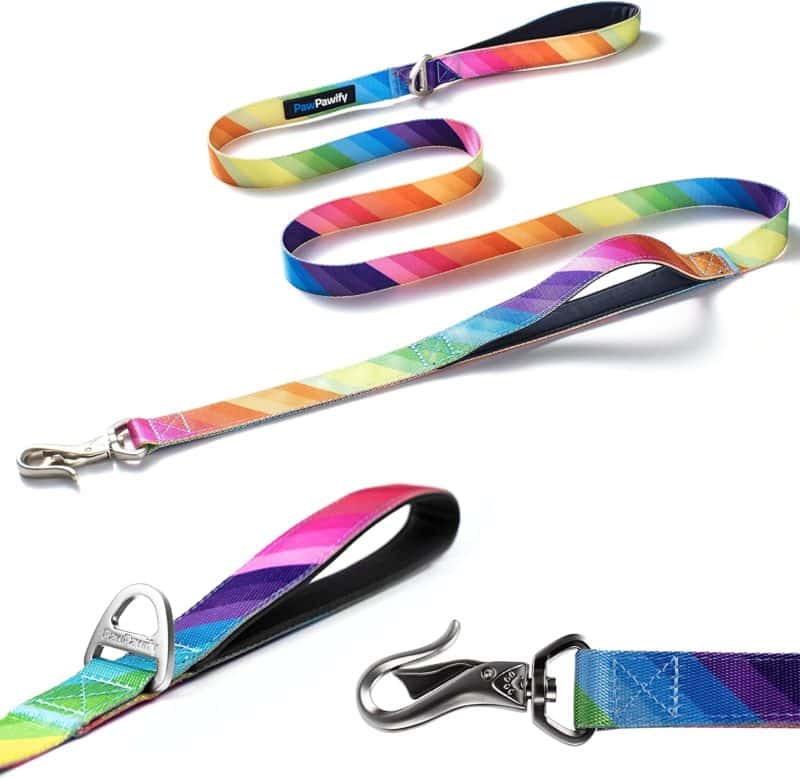 The 12 Best Leashes for Great Danes Hello Danes